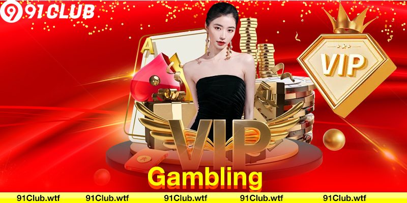  91 Club Official Website